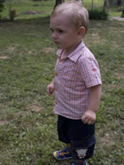 Hlače Bermude - kliknite za detalje